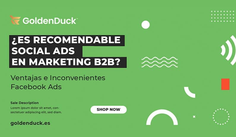 facebook ads en marketing b2b